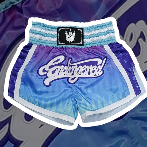 Muay Thai Shorts Blue/ Pink